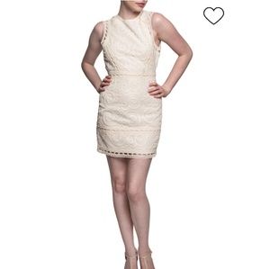 J.O.A Lace Mini Dress